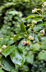 Similar image 13327489