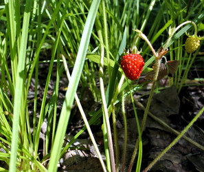 Similar image 14515432