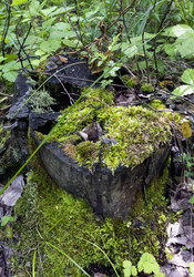 Similar image 14515445