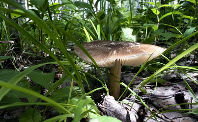 Similar image 14515446