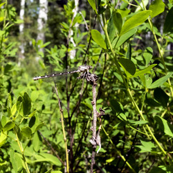 Similar image 14515464