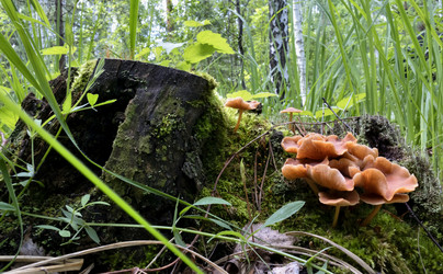 Similar image 14515535