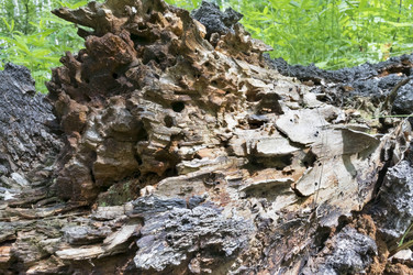 Similar image 14515536