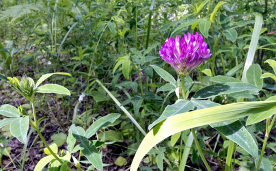 Similar image 14515546