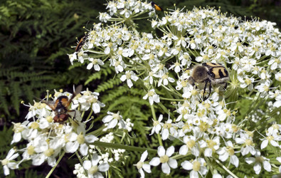 Similar image 14515547