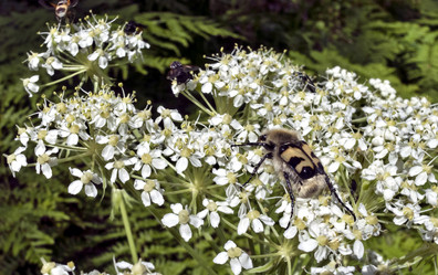 Similar image 14515952