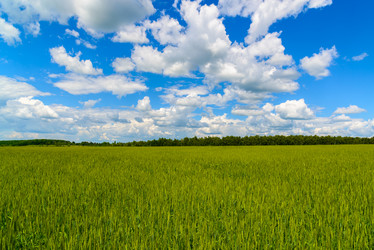 Similar image 13327432