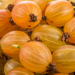 Similar image 13327767