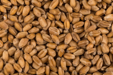 Similar image 13327905