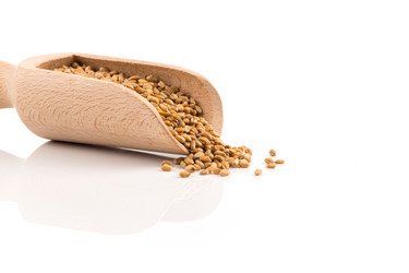 Similar image 13327932