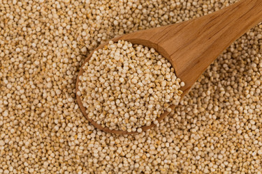 Similar image 13327975