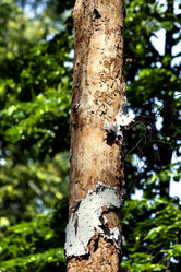 Similar image 14515962