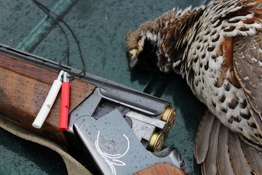 Similar image 13326699