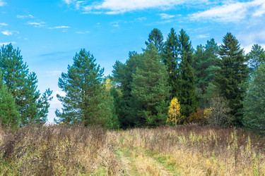 Similar image 13621167