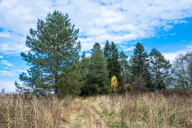 Similar image 13621168