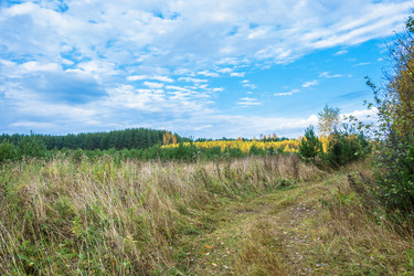 Similar image 13621170