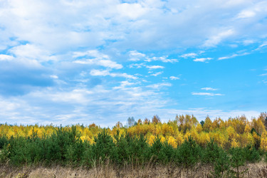 Similar image 13621172