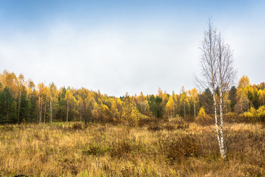 Similar image 13621173