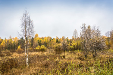 Similar image 13621174