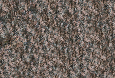 Similar image 13324109