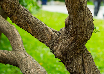 Similar image 13324178