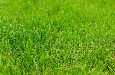 Similar image 13324179