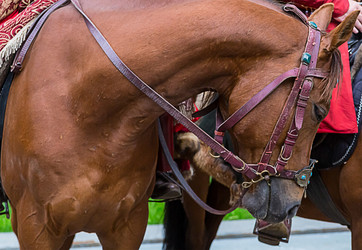 Similar image 13324662