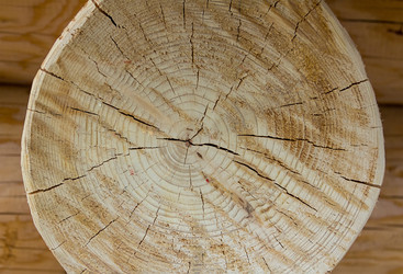 Similar image 13324663