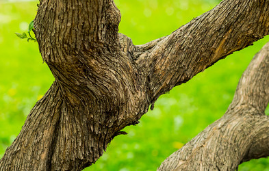 Similar image 13324668