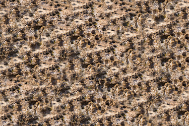 Similar image 13324644