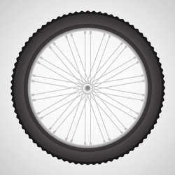 Similar image 13325552