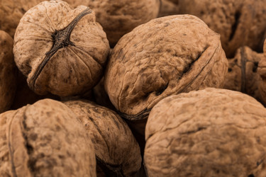 Similar image 13328054