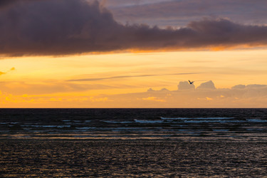 Similar image 13327647