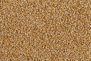 Similar image 13327649