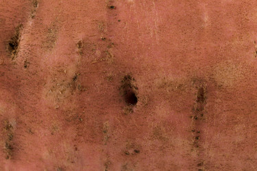 Similar image 13327661