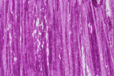 Similar image 13327664