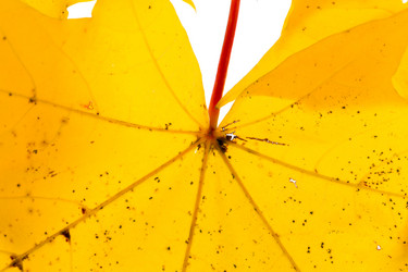 Similar image 13327672