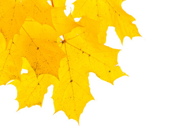 Similar image 13327729