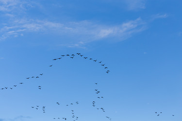 Similar image 13327730