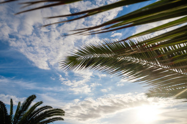 Similar image 14869720