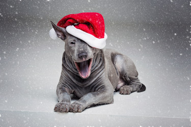 Similar image 14869759