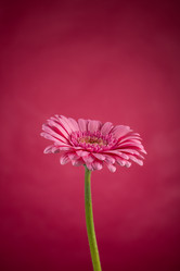 Similar image 13327809