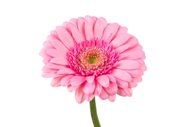 Similar image 13327826