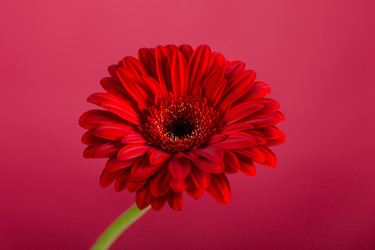 Similar image 13327828