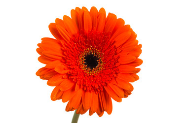 Similar image 13327829