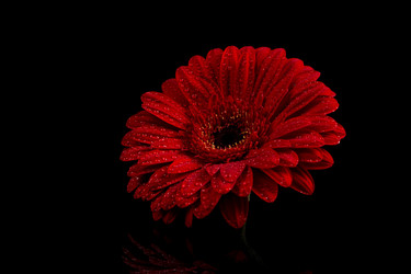 Similar image 13327846