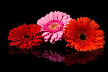 Similar image 13327847