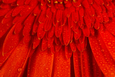 Similar image 13327848