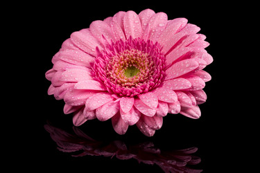 Similar image 13327867