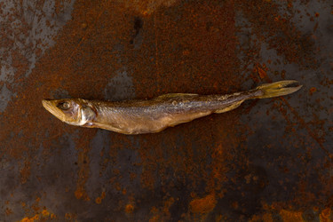 Similar image 13327889